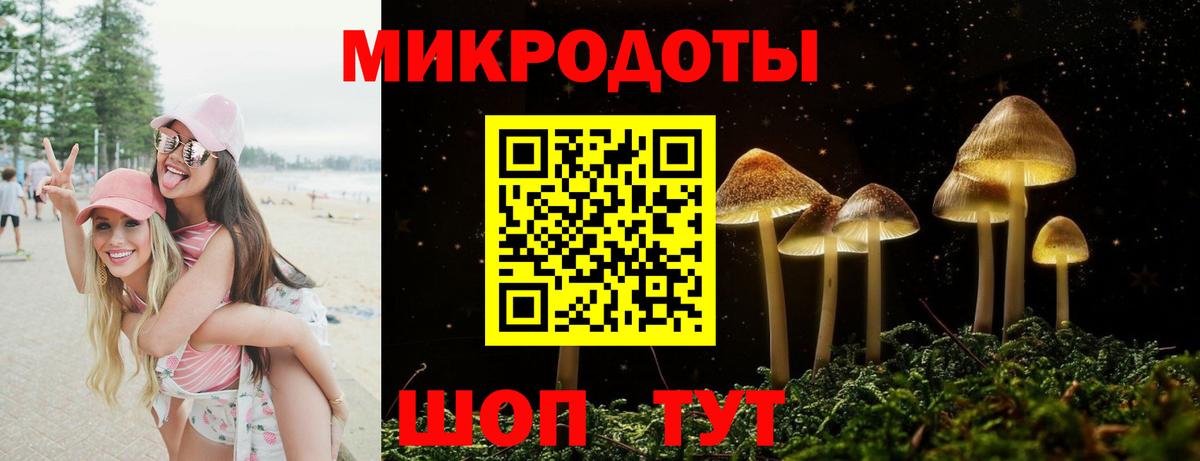 Псилоцибиновые грибы GOLDEN TEACHER Майкоп